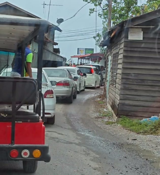 峇眼拿督大桥通车后 大批旅客游双武隆