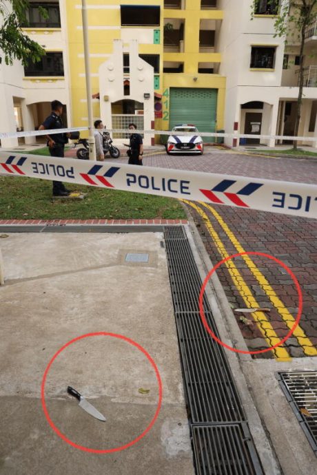 *已签发*柔:狮城二三事:子家中发狂母情绪激动 双双涉辱骂袭女警被捕