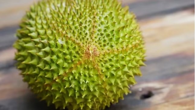 *已签发*柔:狮城二三事:狮城夜市疑出现假猫山王 业者:也有人卖假金凤黑刺