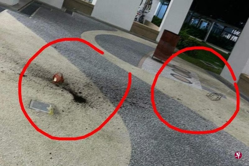 *已签发*柔:狮城二三事:花盆从天降 狮城组屋居民直呼危险