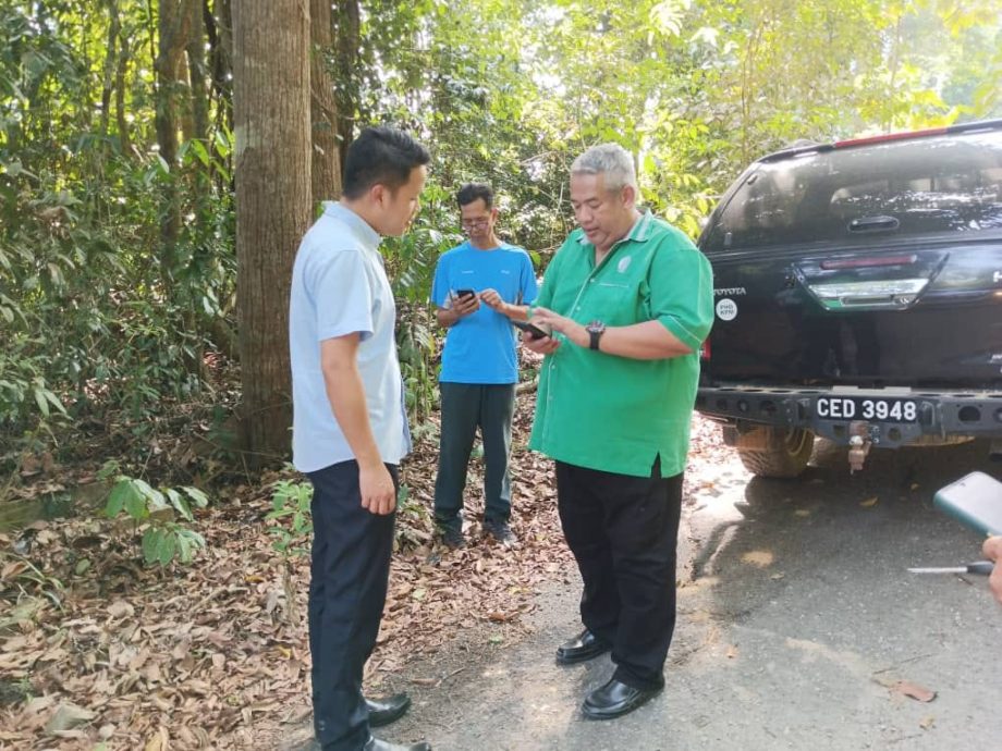 彭政府批准 Rawson花园保留地危树砍