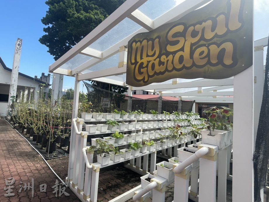 怡市长:截至6月17日 怡681宗骨痛热症病例