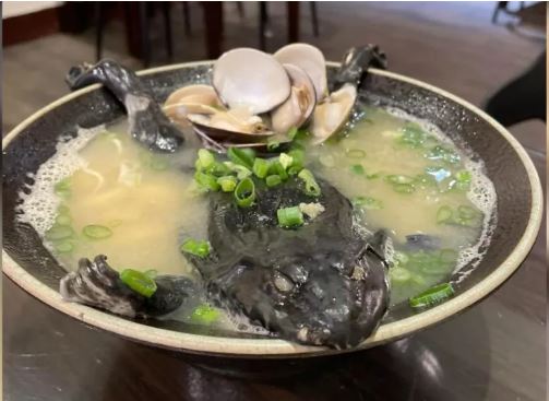 拼盘 云林“蛙呀蛙呀蛙”限定拉面!整只青蛙躺里面:欢迎整个拿来啃