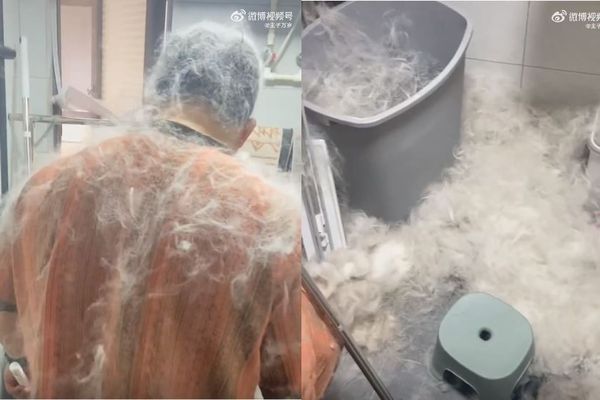 拼盘/帮狗狗洗澡“浴室变灾难现场”!雪橇犬一脸无辜