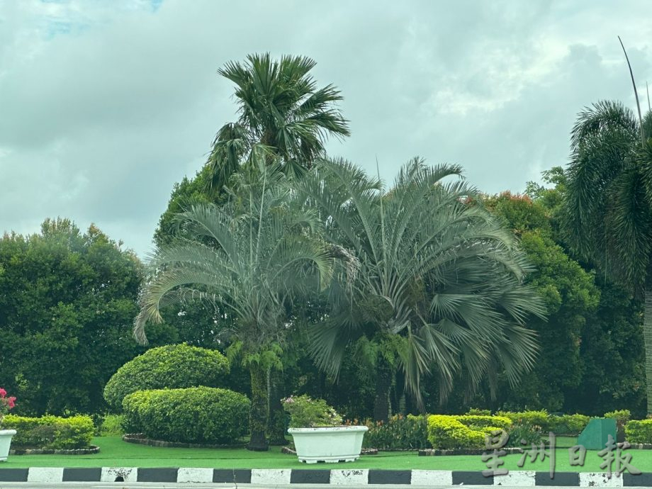 掷数百万美化别搞砸了 刘志俍:市厅须盯紧承包商