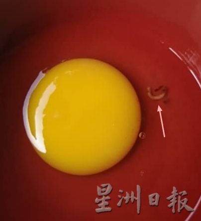 新鲜鸡蛋出现寄生虫