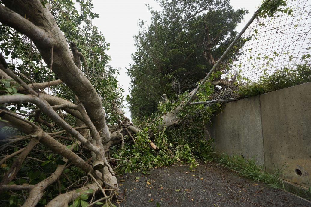 日本破纪录暴雨!交通大规模中断、旅客睡机场 多人死伤