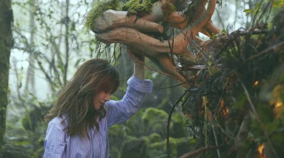 林佚/《麋鹿》梁静茹欢迎回来