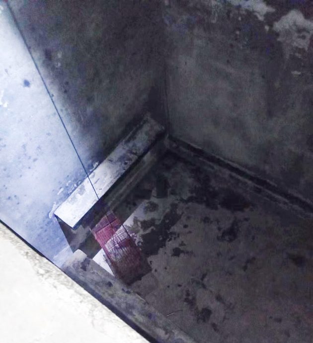 果子狸在民宅屋顶上爬走 误坠洋灰台 挤爆天窗