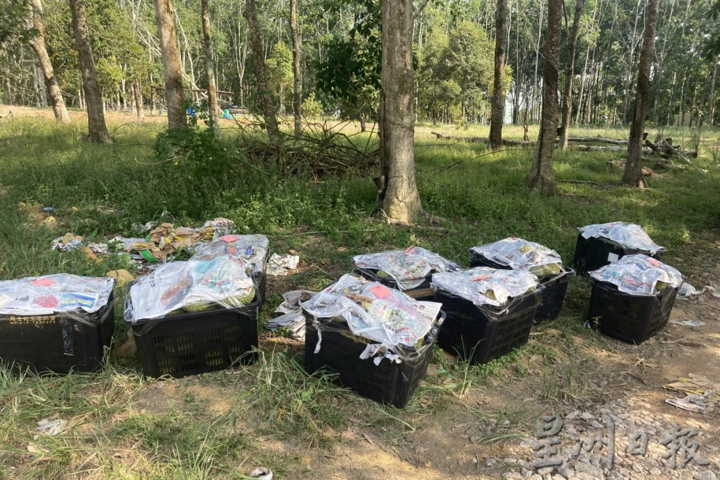 柔: 【特稿】:榴梿园主面对收果没统一标准难处,如今猫山王价格成近10年来最低价