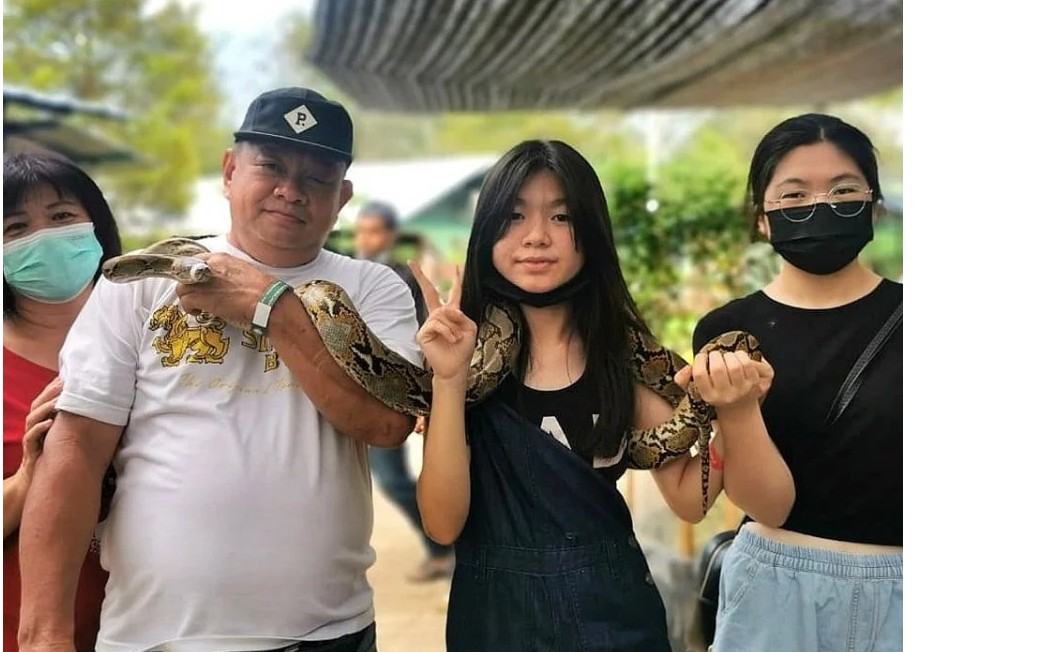 柔:两车相撞3死5伤惨剧,幸存少女仍昏迷不醒
