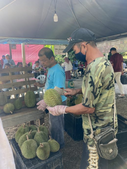 柔:到阿逸班那品尝土种榴梿找惊喜