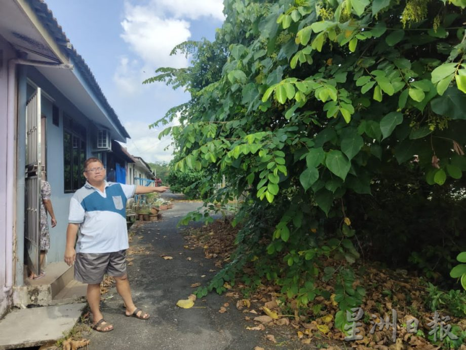 柔：居民投诉住家后园地没人打理，枝桠已长至接近住家导致民生与卫生问题
