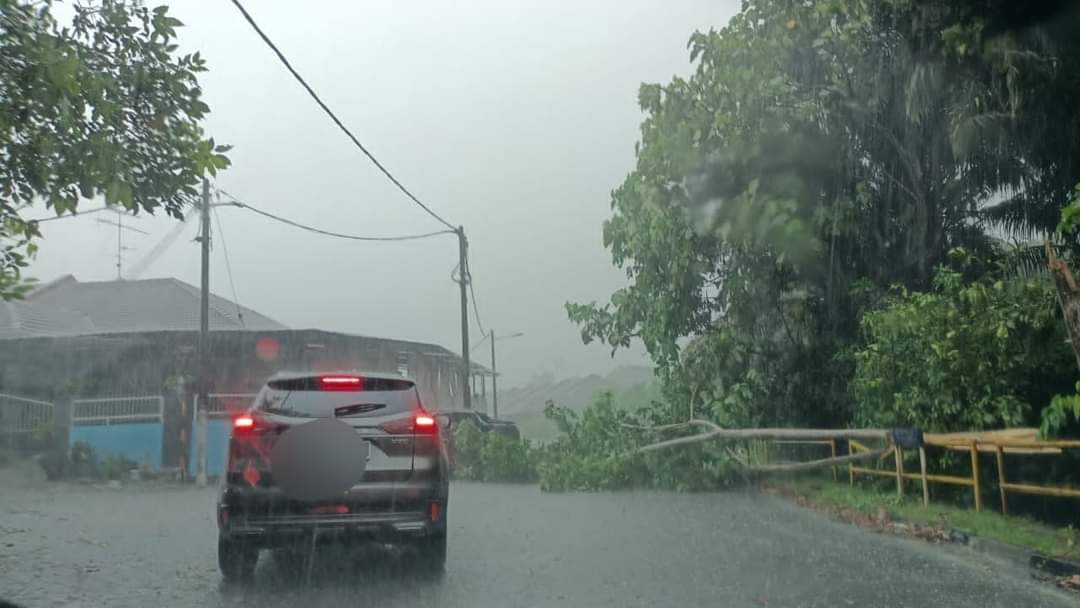 柔:新闻:狂风夹带大雨侵袭,多处树倒食摊招牌被刮落