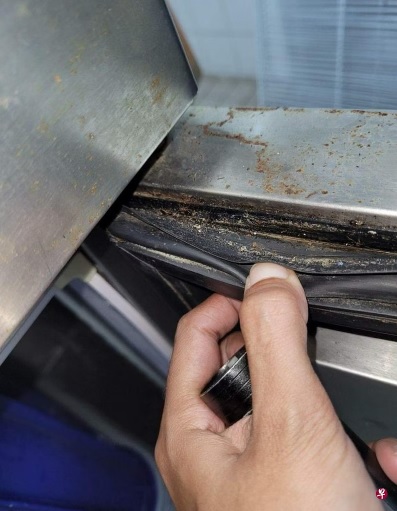 柔:狮城二三事:厂房蟑螂滋生 食品加工公司罚款1万新元