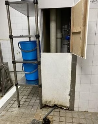 柔:狮城二三事:厂房蟑螂滋生 食品加工公司罚款1万新元