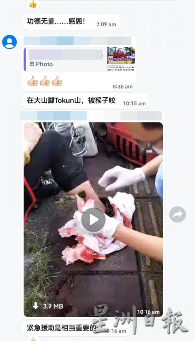 求真/女子被野猴攻击视频在太平,水果摊贩:卓坤山今早没发生野猴咬人事件