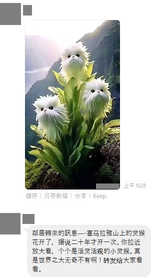 求真:喜马拉雅山上的灵猴花开了?其实是AI制图