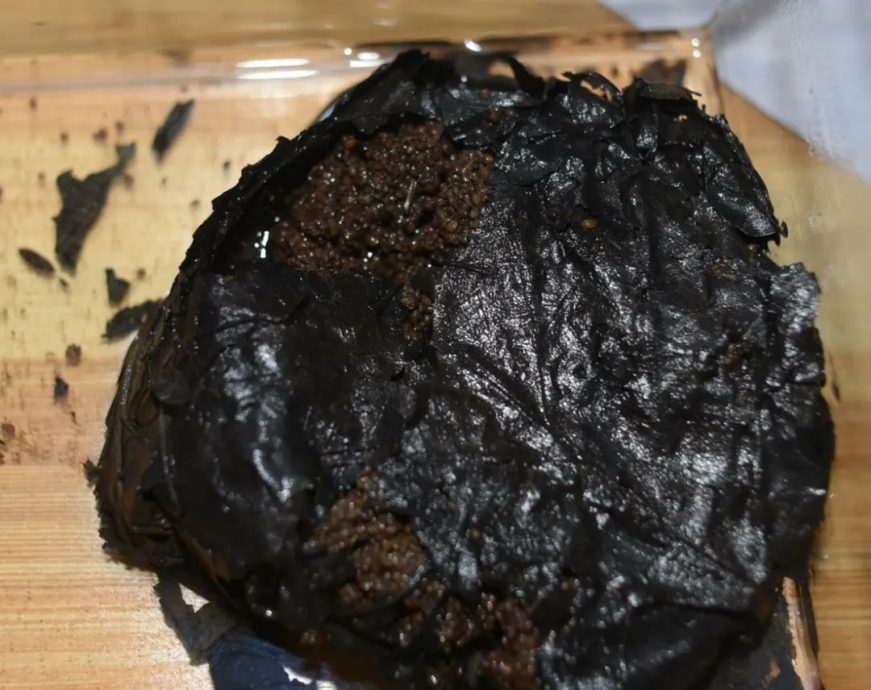 河南考古发现 距今2000多年的粽子