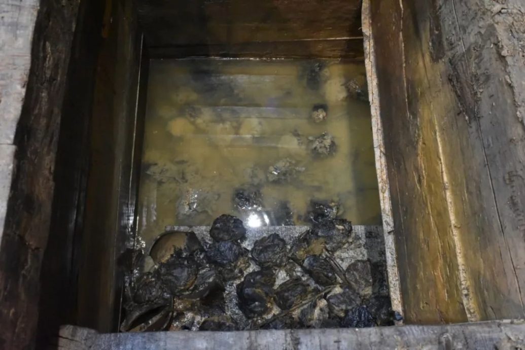 河南考古发现 距今2000多年的粽子