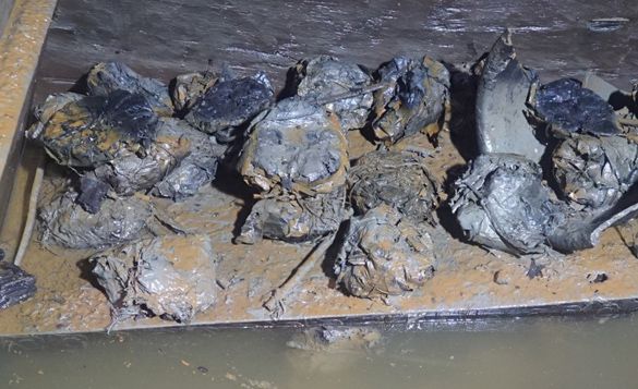 河南考古发现 距今2000多年的粽子