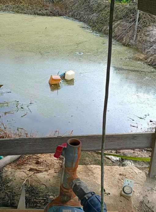 热到蔬果都蔫了 种植业者苦等老天下雨