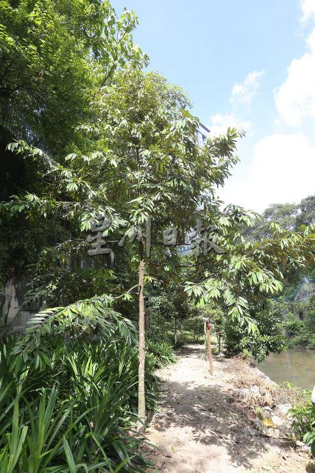 父用6年建“城市果园”疗丧子之痛 “这里每棵树都是思念的人”