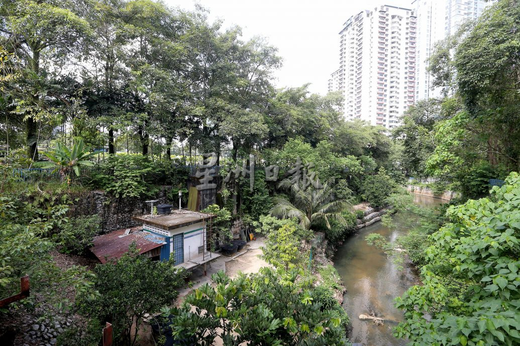 父用6年建“城市果园”疗丧子之痛 “这里每棵树都是思念的人”