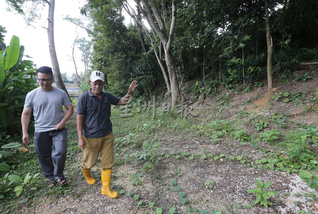 父用6年建“城市果园”疗丧子之痛 “这里每棵树都是思念的人”