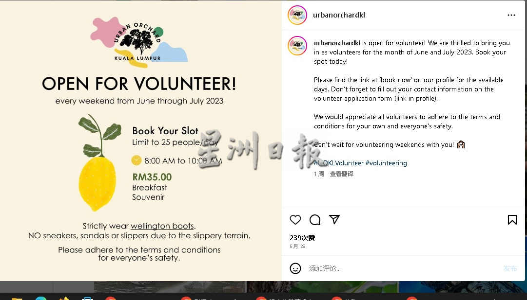 父用6年建“城市果园”疗丧子之痛 “这里每棵树都是思念的人”