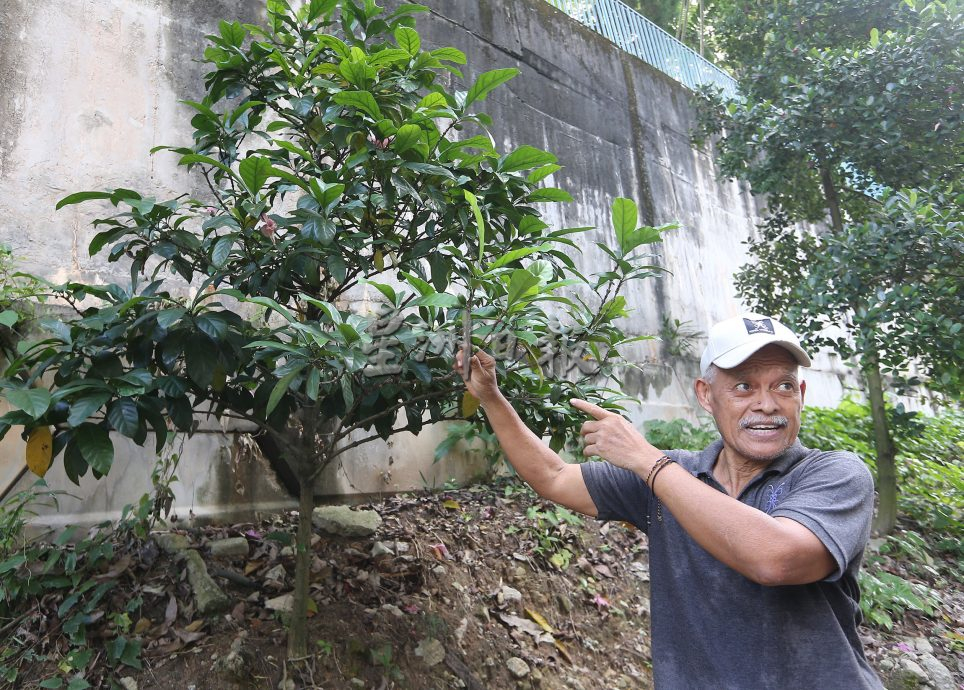 父用6年建“城市果园”疗丧子之痛 “这里每棵树都是思念的人”