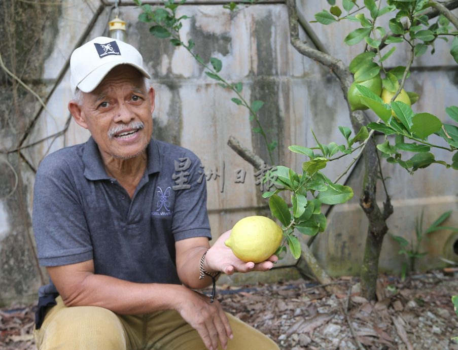 父用6年建“城市果园”疗丧子之痛 “这里每棵树都是思念的人”