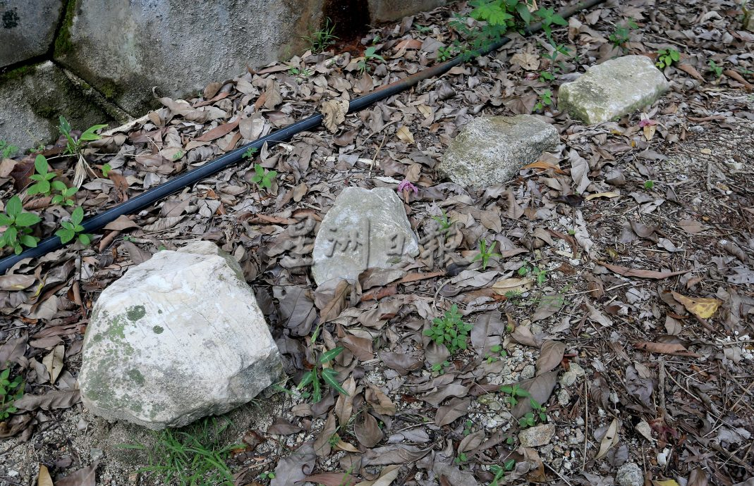 父用6年建“城市果园”疗丧子之痛 “这里每棵树都是思念的人”