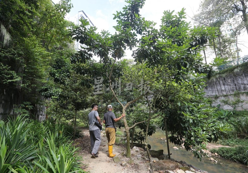 父用6年建“城市果园”疗丧子之痛 “这里每棵树都是思念的人”