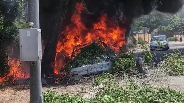 特斯拉失控撞树起火 华裔母女葬身火海