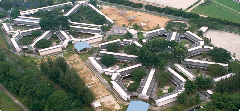 狮城马场明年关闭，雪州马会将引入赛驹及安排部分人员来马培训