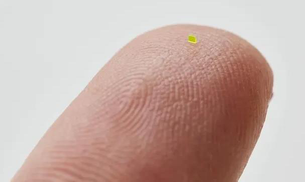 用显微镜才看得到!“微型LV包”以28万令吉天价拍出