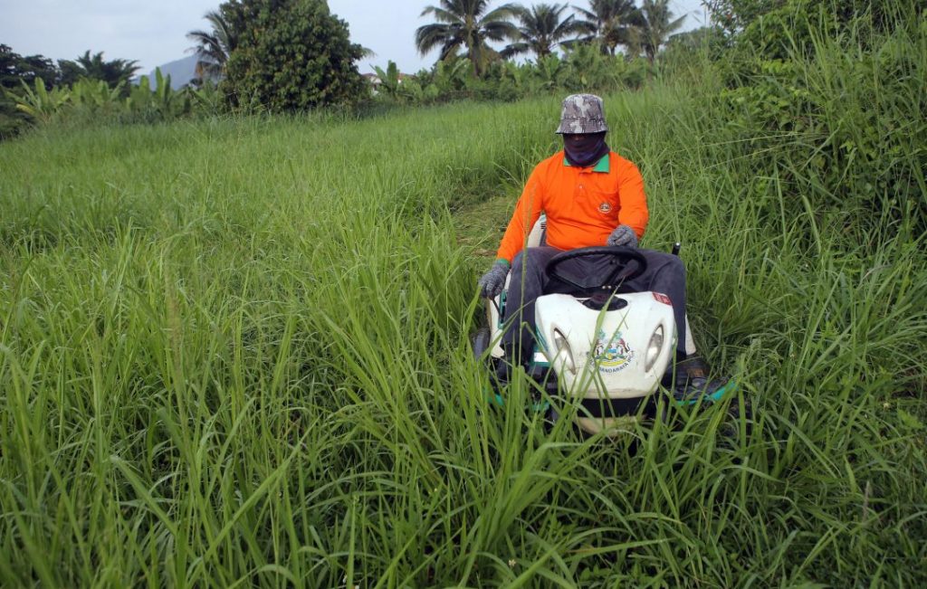 白兰园56路草场野草沟塞废弃车 市政厅派员解决