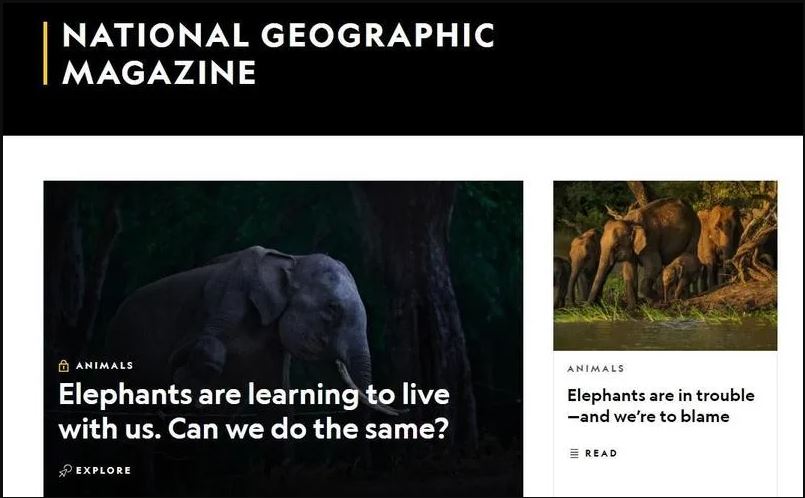 看世界)记录自然世界超过百年 《国家地理杂志》解雇最后一批特约撰稿人