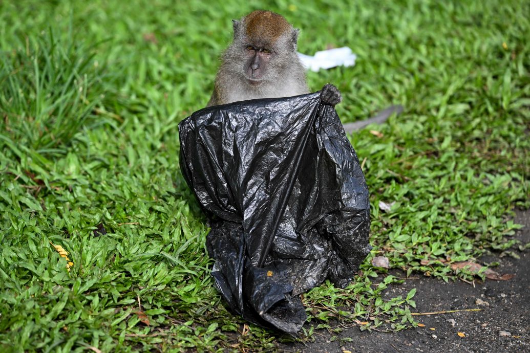 看世界／联合国秘书长在世界环境日呼吁打破对塑料的依赖