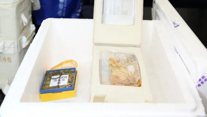 神舟十五号带回20公斤太空实验样品 再生稻亮相