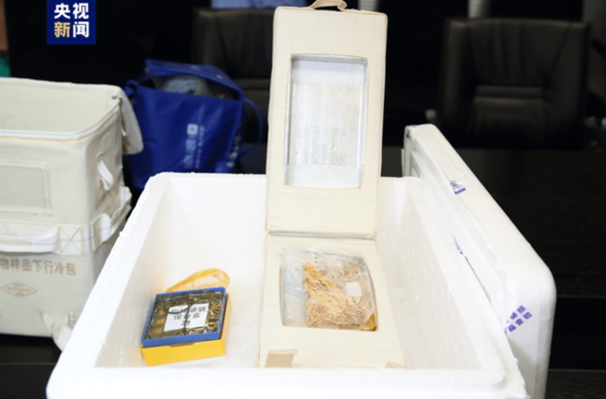 神舟十五号飞船返回舱返回 实验样品顺利交付 