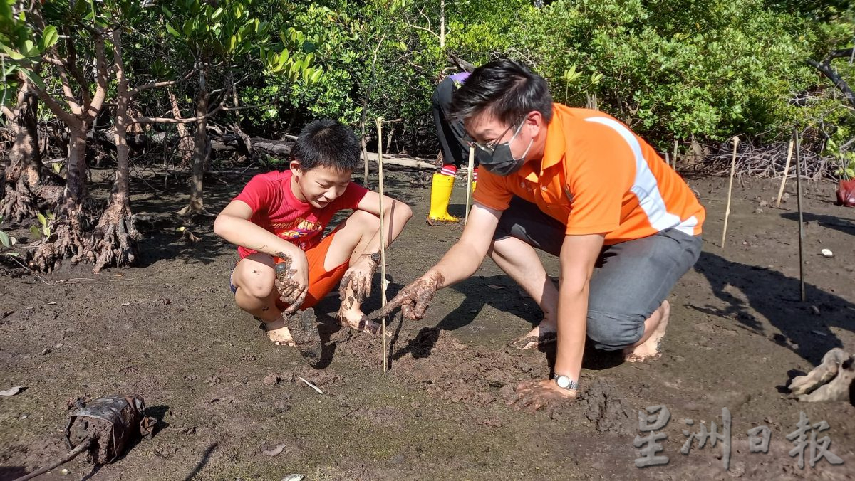 种一千株红树苗