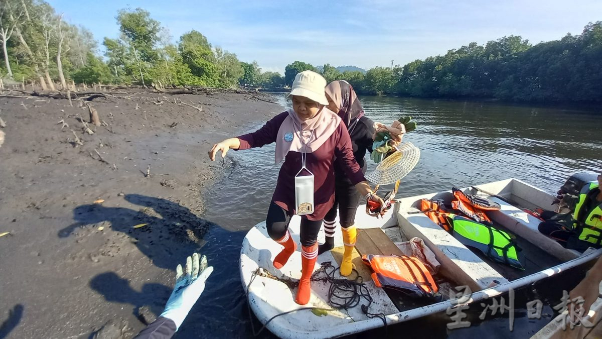 种一千株红树苗