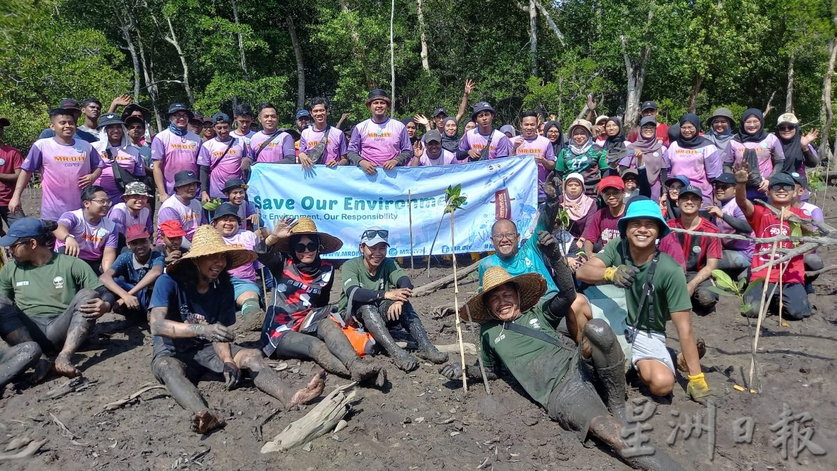 种一千株红树苗