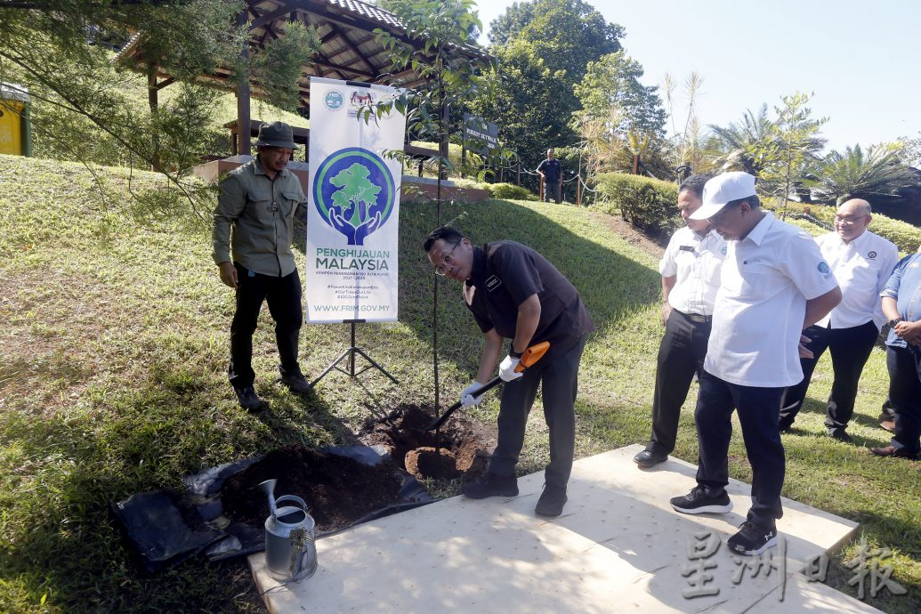 聂纳兹米:能源效率和节约法