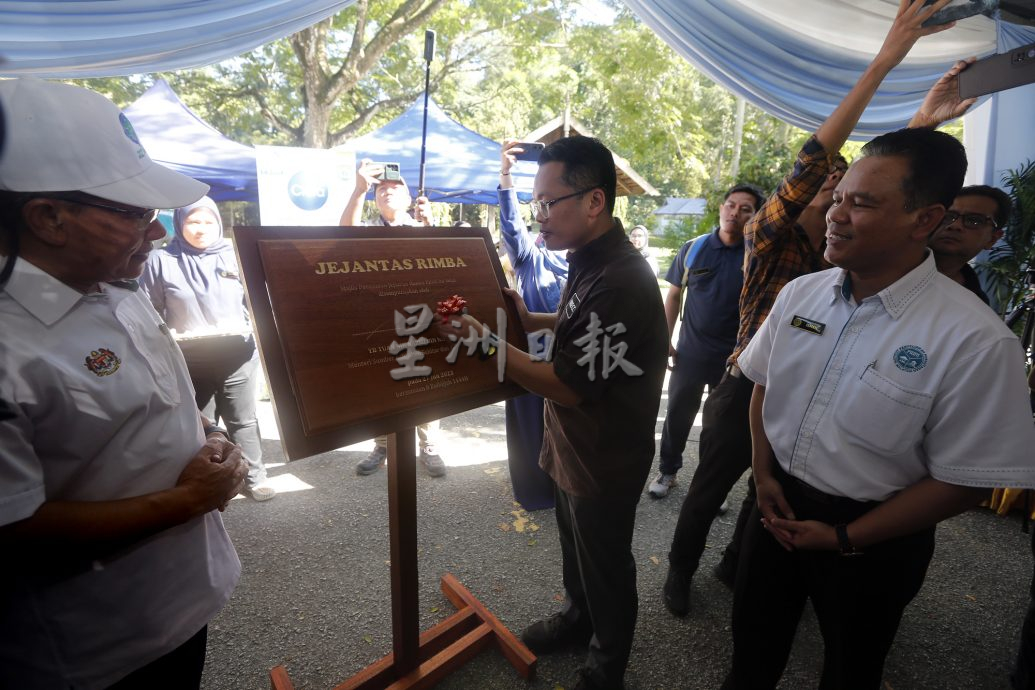 聂纳兹米:能源效率和节约法