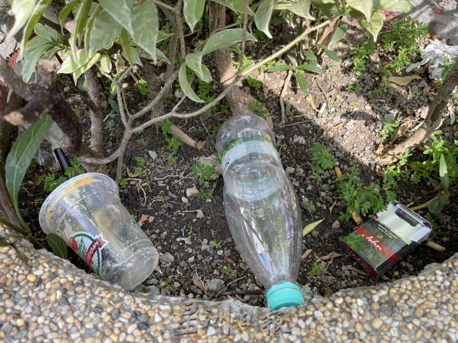 艳阳风雨摧残 鸡场街金兔“毁容”