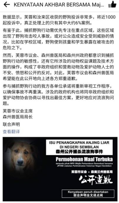 芙重启即捕即杀浪浪 动保组织市民震惊!