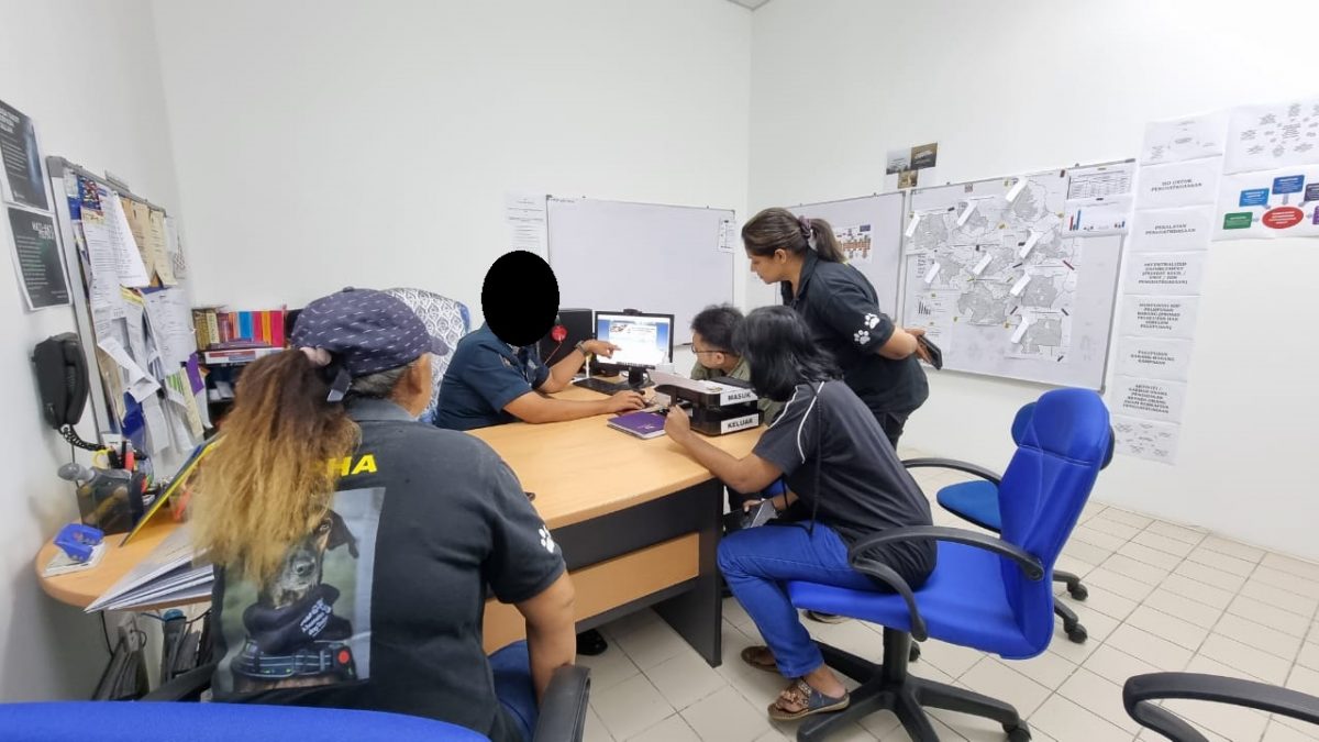 芙重启即捕即杀浪浪 动保组织市民震惊！